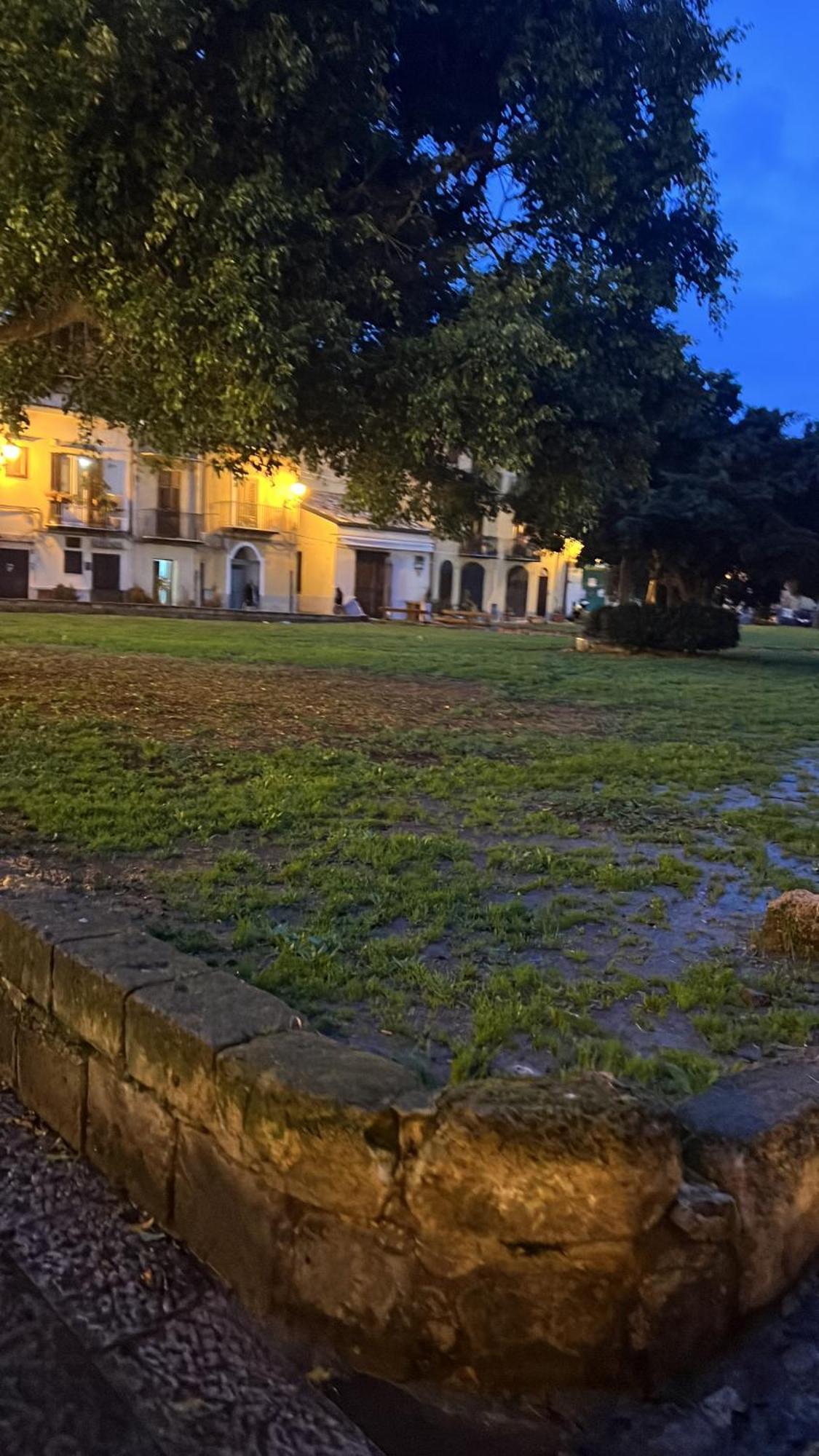 Alloro 9 Palermo