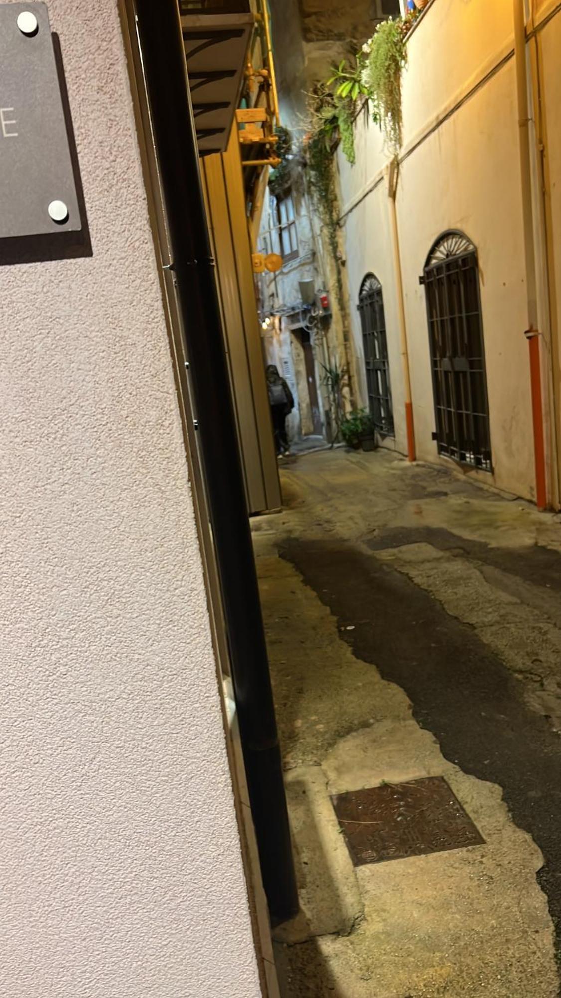 Alloro 9